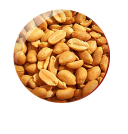 mogyi 