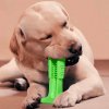 Kutya fogkefe játék - Tiszta kutya, tiszta fogak