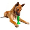 Kutya fogkefe játék - Tiszta kutya, tiszta fogak